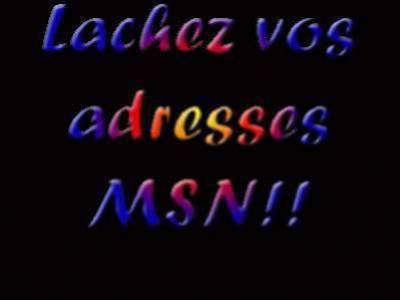 lachez vos adresses msn